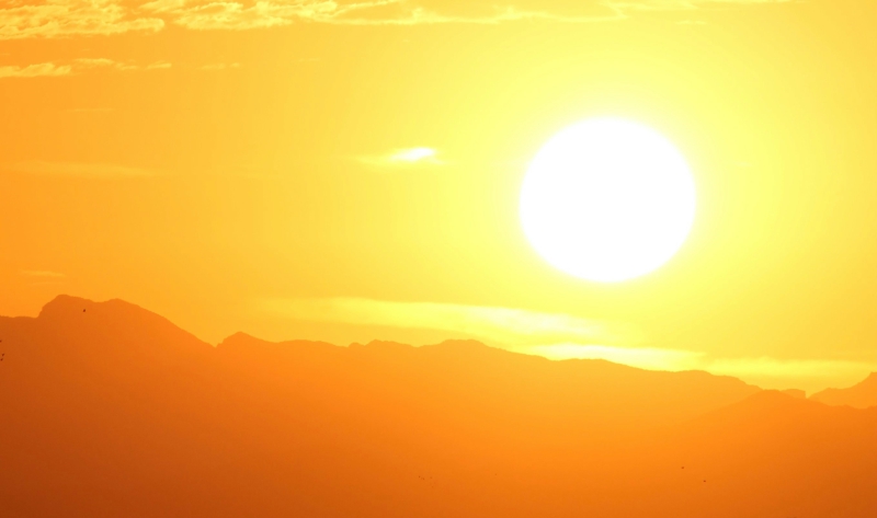 Sunlight